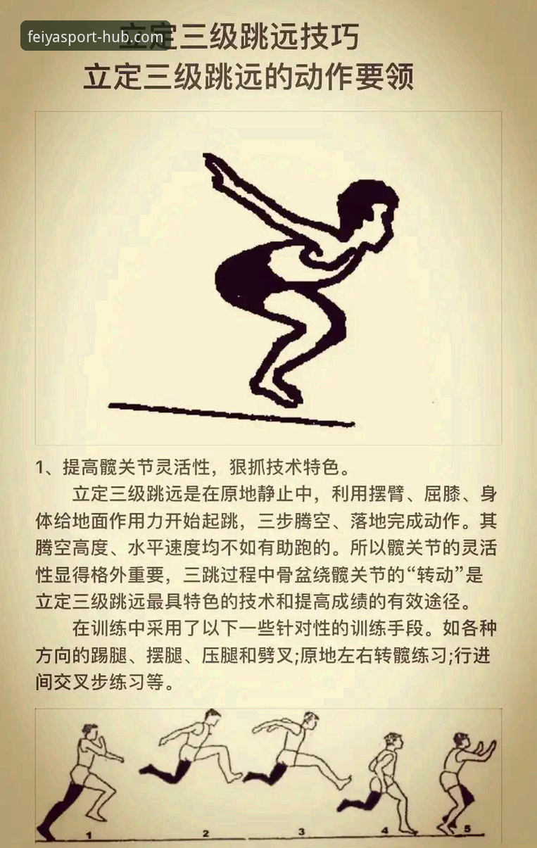 飞亚体育手机版全面解析：从注册到投注的完整指南与实用技巧